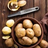 image:imageFarberware Pro Stainless Steel Soft Ice Cream Scoop  Pointed Corners for Easy Serving Long Comfortable Handle Ergonomic Grip Dishwasher Safe amp Durable for Gelato Sorbet Cookie Dough MelonEuro Peeler