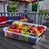 image:imageFarberware BuildABoard 11 x 16 Inch Poly Snacklebox with LidBlack
