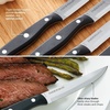 image:imageFarberware Stamped Triple Rivet Steak Knife Set  Black Set of 48
